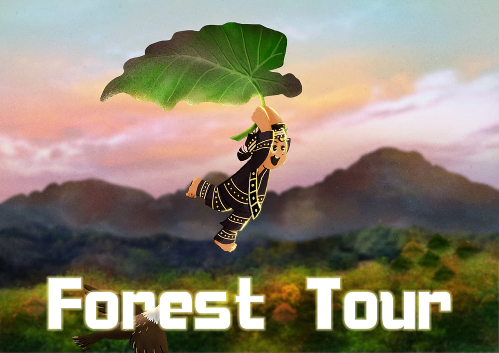 Forest Tour